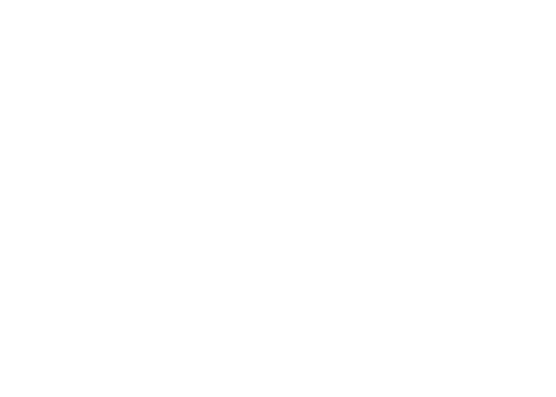 Miracle Art