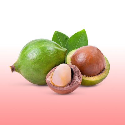 Premium Shea Butter